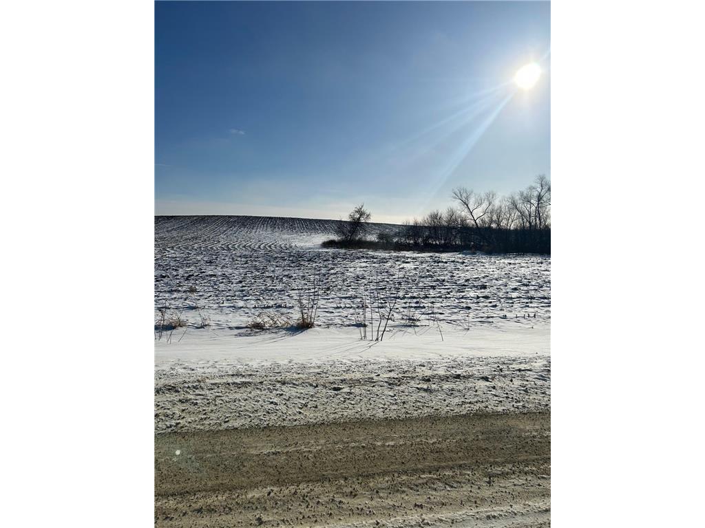 XXXX 285th (180 Acres) Street Greenvale Twp MN 55057 - Chub Creek 7012420 image6