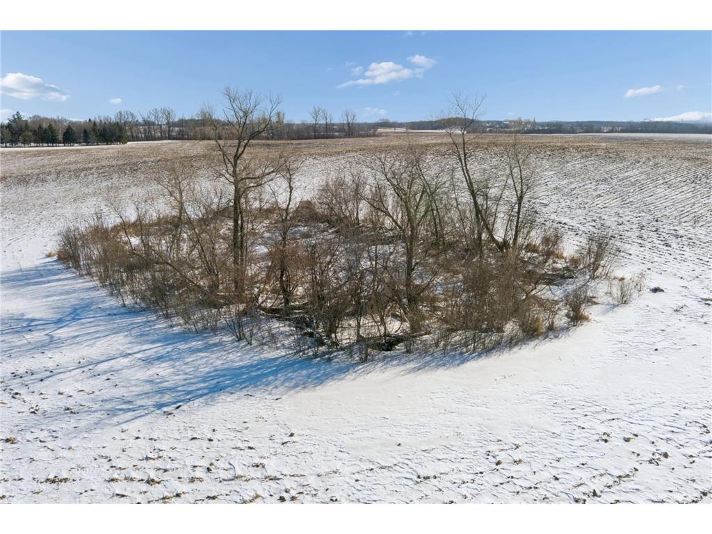 XXXX 285th (180 Acres) Street Greenvale Twp MN 55057 - Chub Creek 7012420 image60