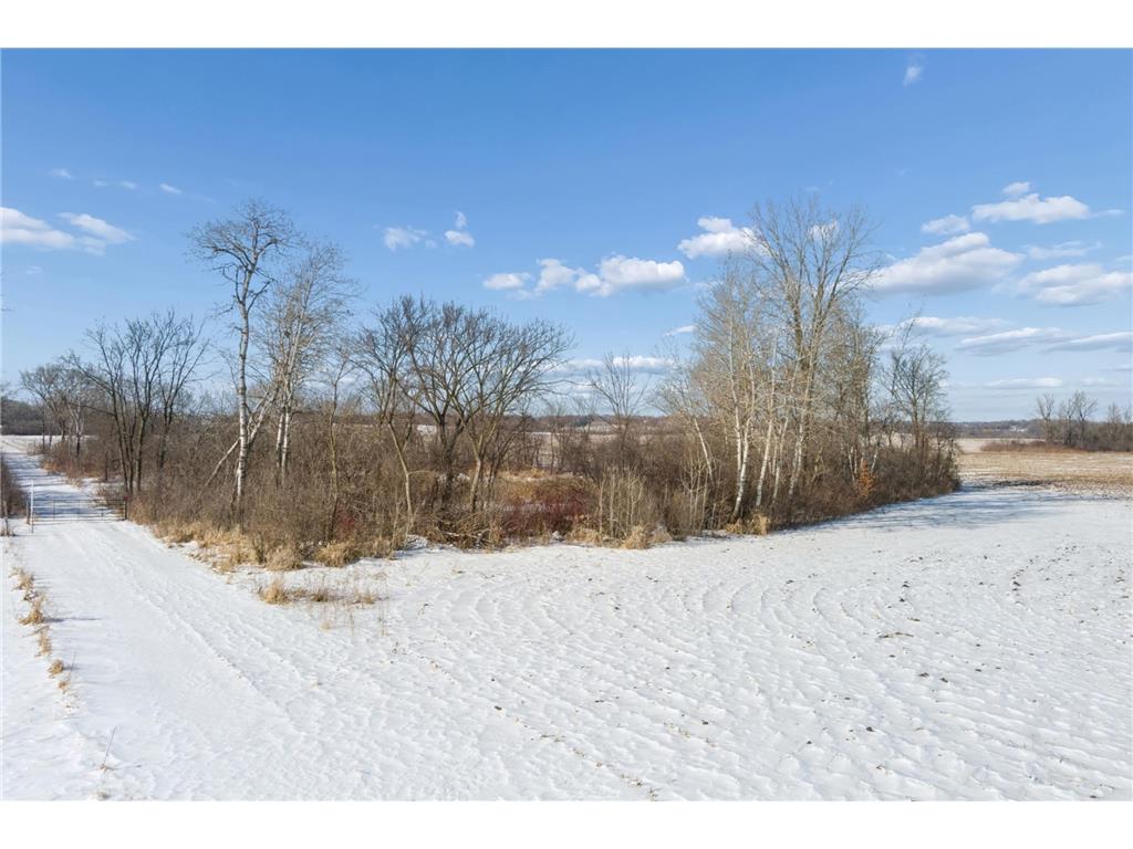XXXX 285th (180 Acres) Street Greenvale Twp MN 55057 - Chub Creek 7012420 image63