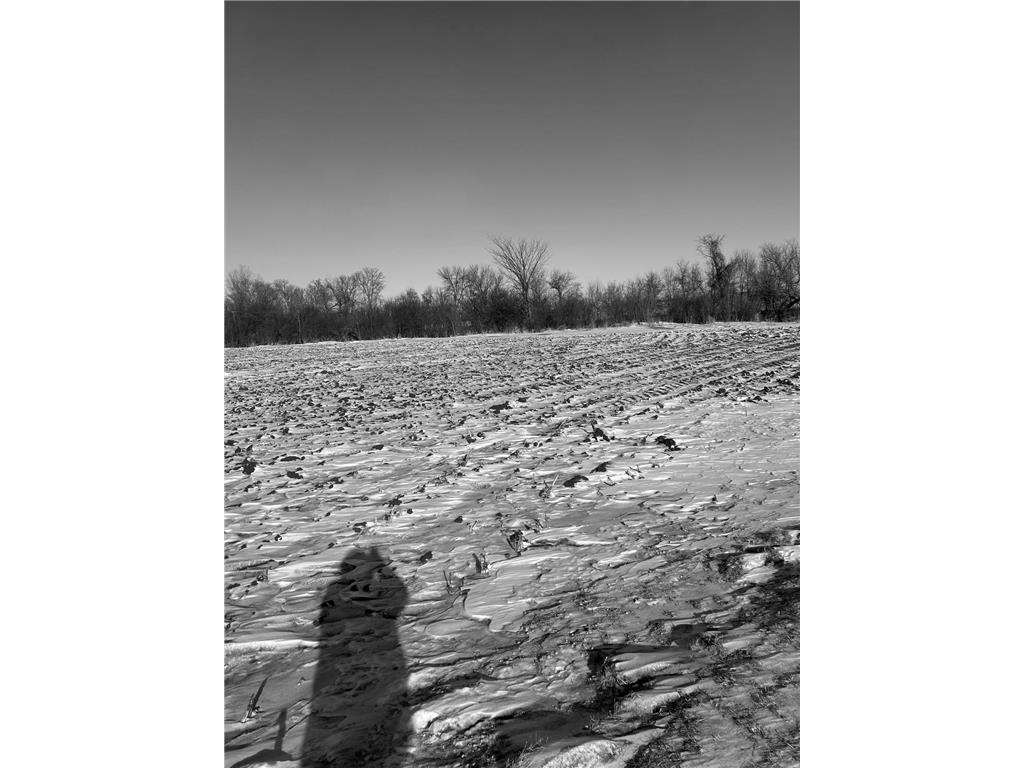 XXXX 285th (180 Acres) Street Greenvale Twp MN 55057 - Chub Creek 7012420 image8