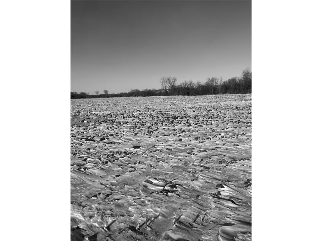 XXXX 285th (180 Acres) Street Greenvale Twp MN 55057 - Chub Creek 7012420 image9