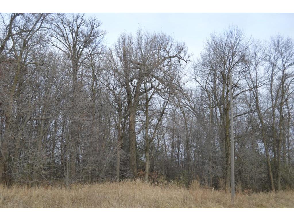 XXXX 350th Street Albany MN 56307 6306958 image1