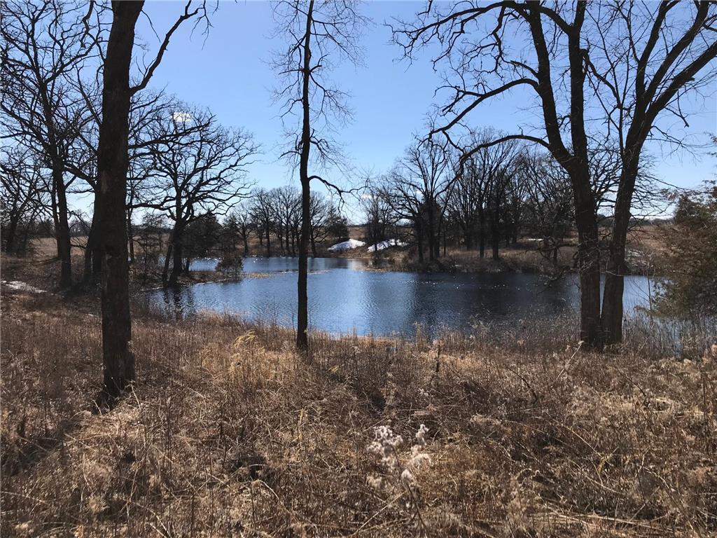 XXXX 50th Street N Lake Elmo MN 55042 6553876 image2