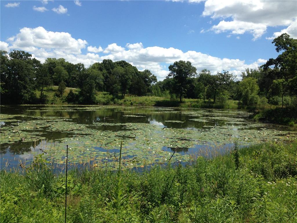 XXXX 50th Street N Lake Elmo MN 55042 6553876 image3