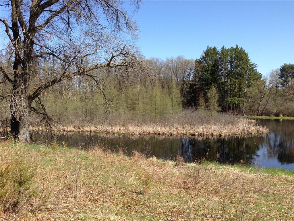 XXXX 50th Street N Lake Elmo MN 55042 6553876 image5