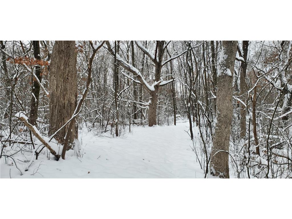 XXXX 50th Street Somerset WI 54025 6750155 image1