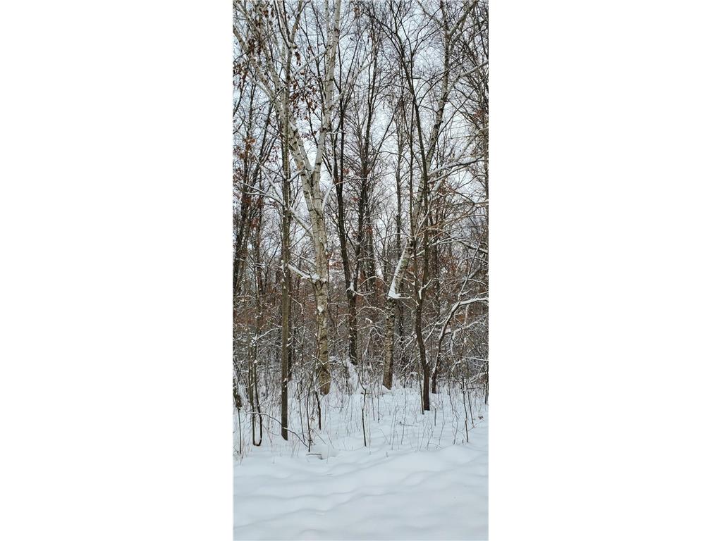 XXXX 50th Street Somerset WI 54025 6750155 image10