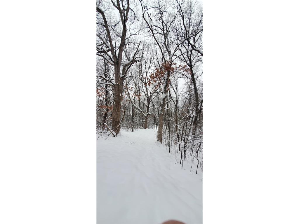 XXXX 50th Street Somerset WI 54025 6750155 image11