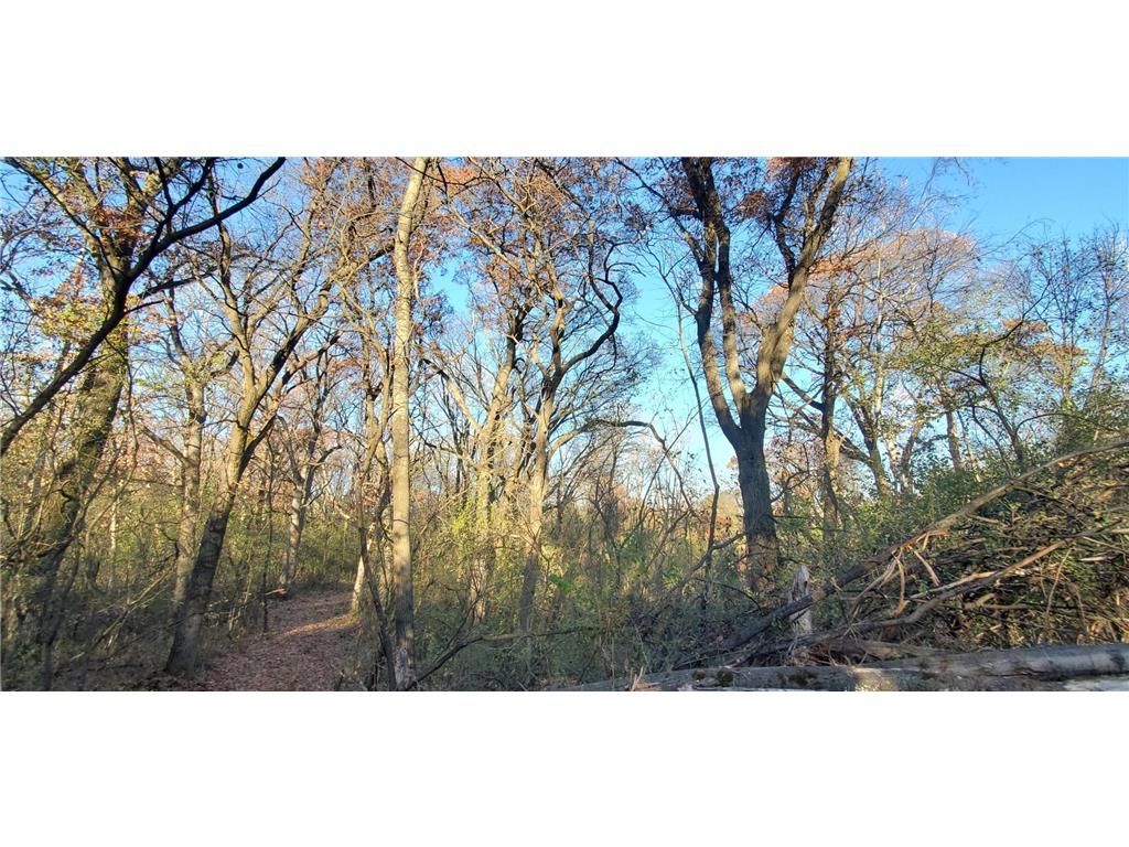 XXXX 50th Street Somerset WI 54025 6750155 image13