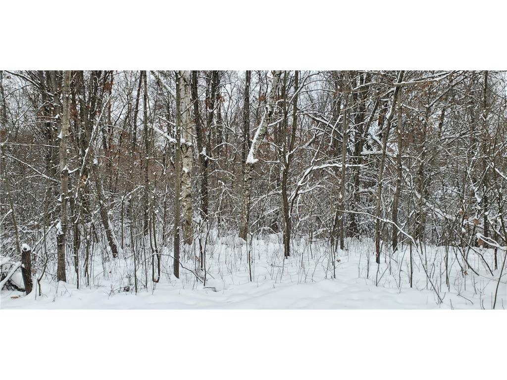 XXXX 50th Street Somerset WI 54025 6750155 image9