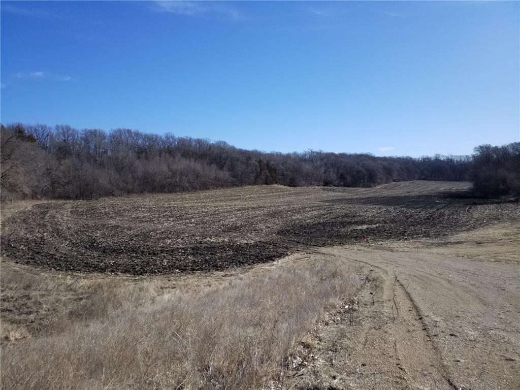 XXXX 568th Avenue Decoria Twp MN 56001 6682168 image1