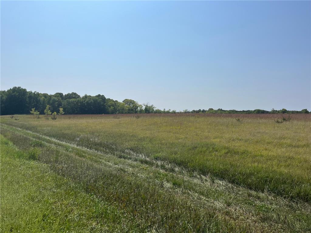 XXXX 60th Street NW Annandale MN 55302 6421285 image1