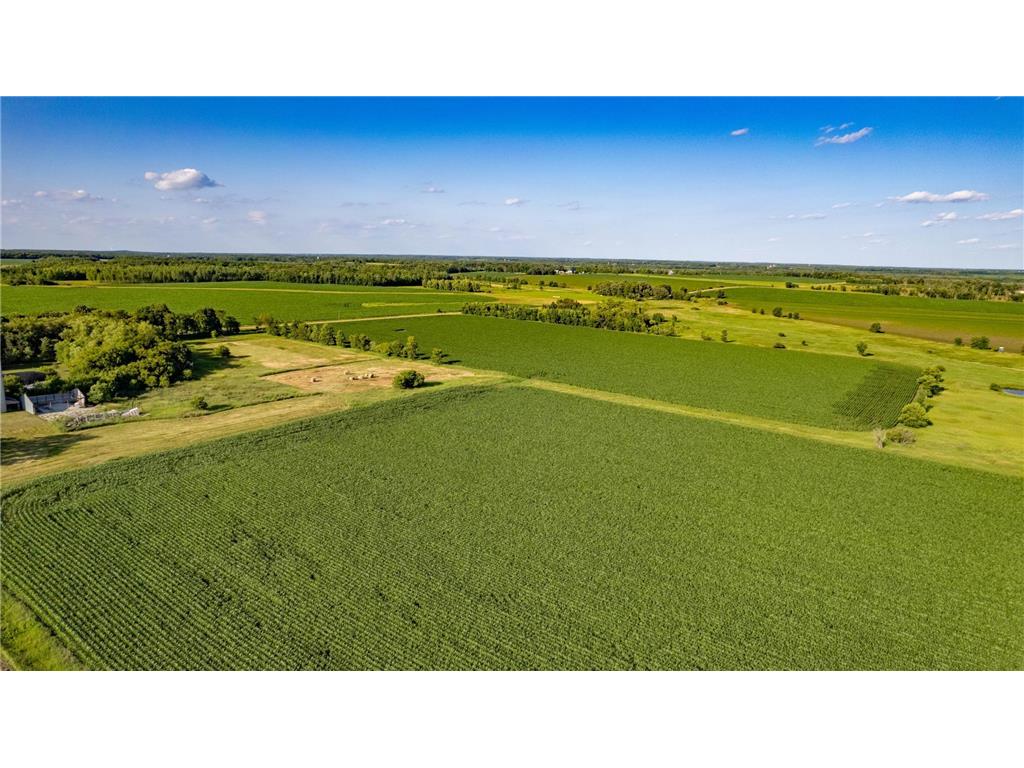 XXXX 635th Avenue, Bertha, MN 56437 MLS 6449991 Edina Realty