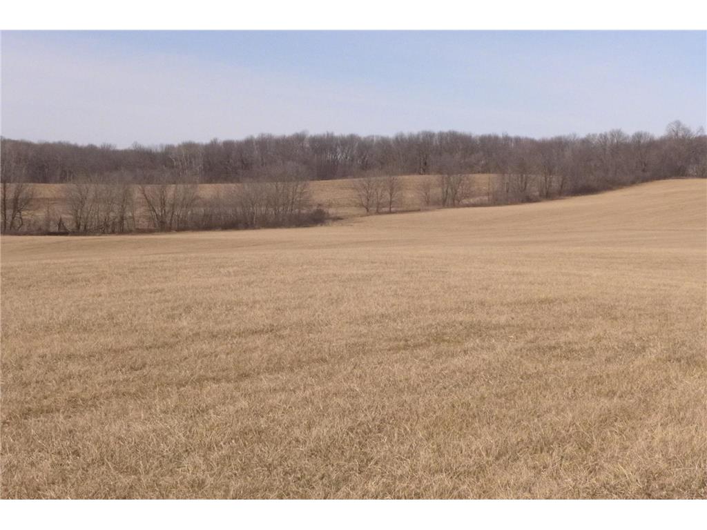 XXXX 650th Street Ellsworth WI 54011 6502419 image1