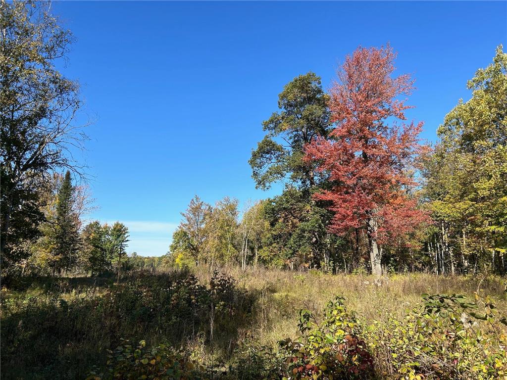 XXXX 72nd Street SW Home Brook Twp MN 56472 6611359 image1