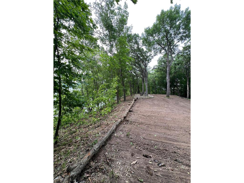 XXXX Acorn Road Burtrum MN 56318 - Pine 7019773 image20