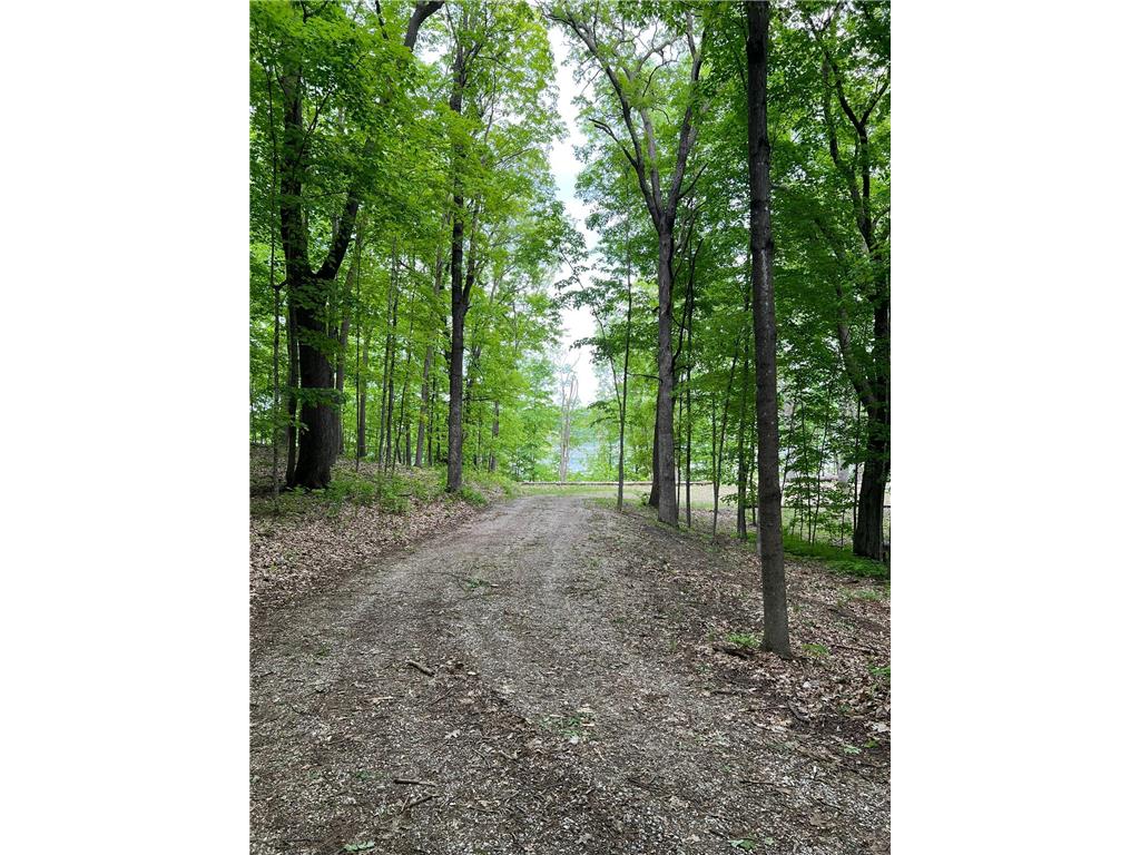 XXXX Acorn Road Burtrum MN 56318 - Pine 7019773 image3