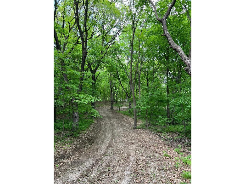 XXXX Acorn Road Burtrum MN 56318 - Pine 7019773 image5