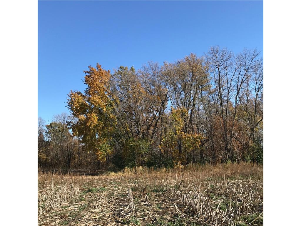 XXXX Ames Avenue NW, Maple Lake Twp, MN, 55313 MLS 6474572 Edina