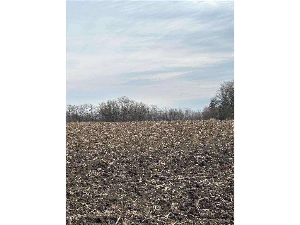 XXXX Ames Avenue NW Maple Lake Twp MN 55313 - Black Lake 6678069 image1