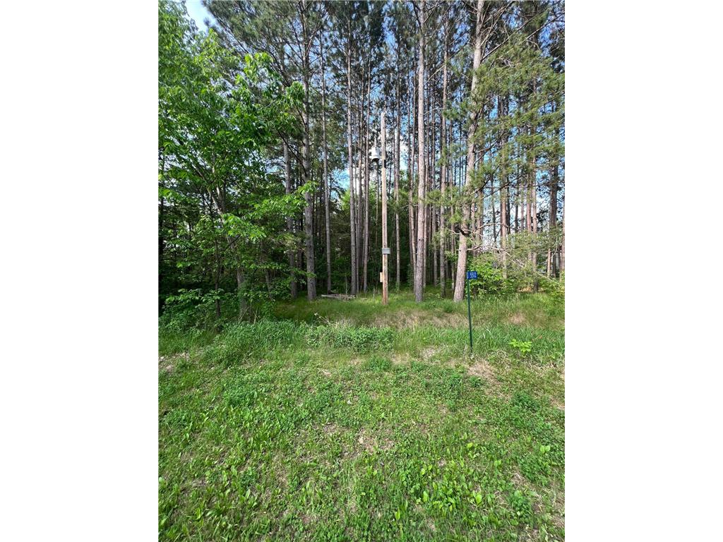 XXXX Banyan Drive, Garrison, MN, 56450 MLS 6410164 Edina Realty