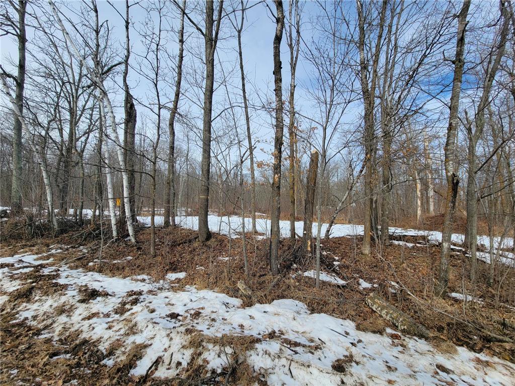 XXXX Black Bear Drive SW Motley MN 56466 7029398 image15