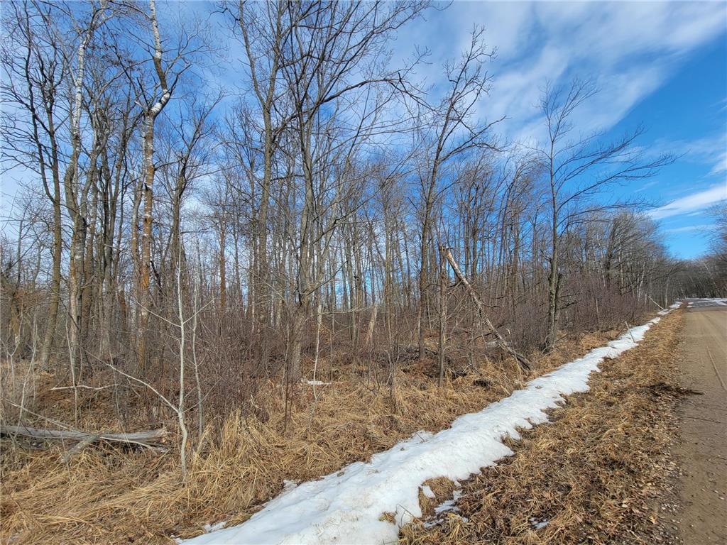 XXXX Black Bear Drive SW Motley MN 56466 7029398 image16