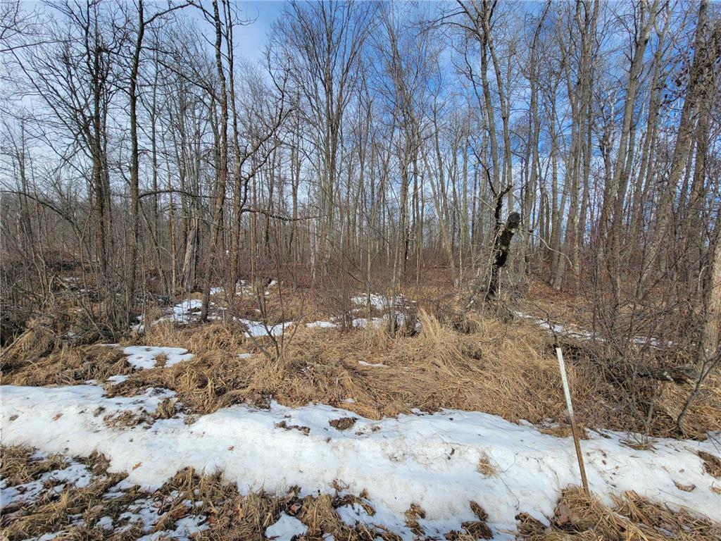 XXXX Black Bear Drive SW Motley MN 56466 7029398 image17