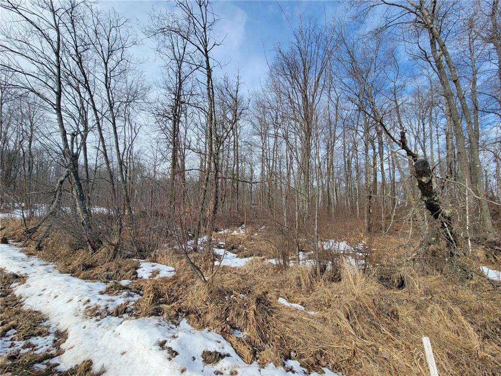 XXXX Black Bear Drive SW Motley MN 56466 7029398 image18