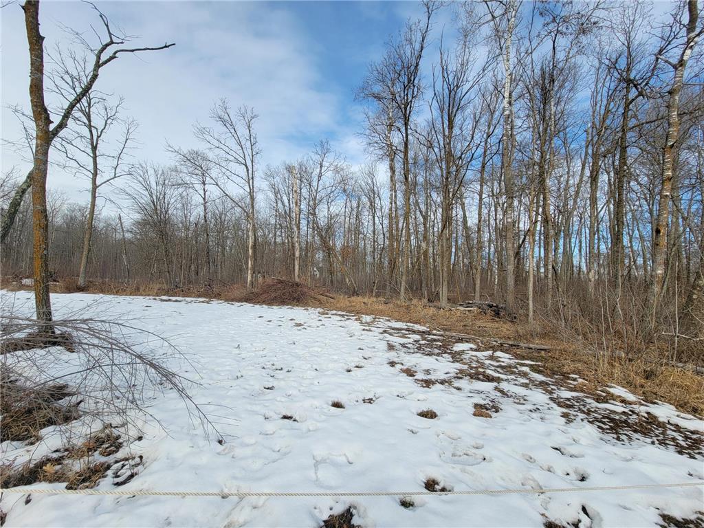 XXXX Black Bear Drive SW Motley MN 56466 7029398 image2