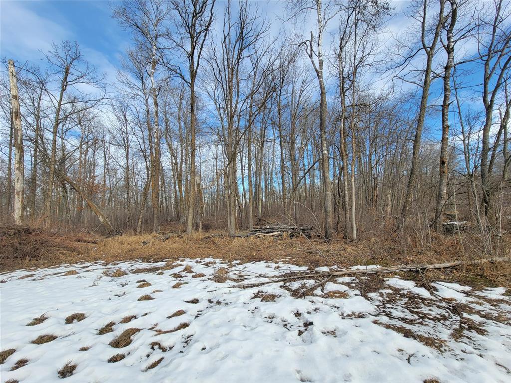 XXXX Black Bear Drive SW Motley MN 56466 7029398 image4
