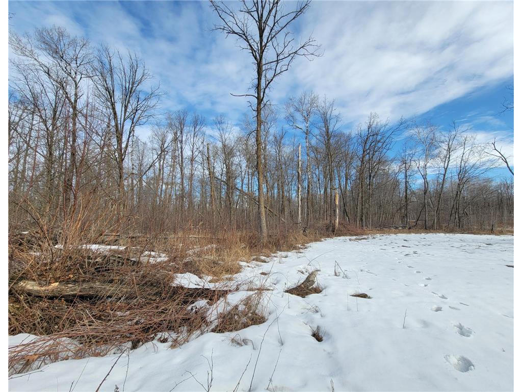 XXXX Black Bear Drive SW Motley MN 56466 7029398 image8