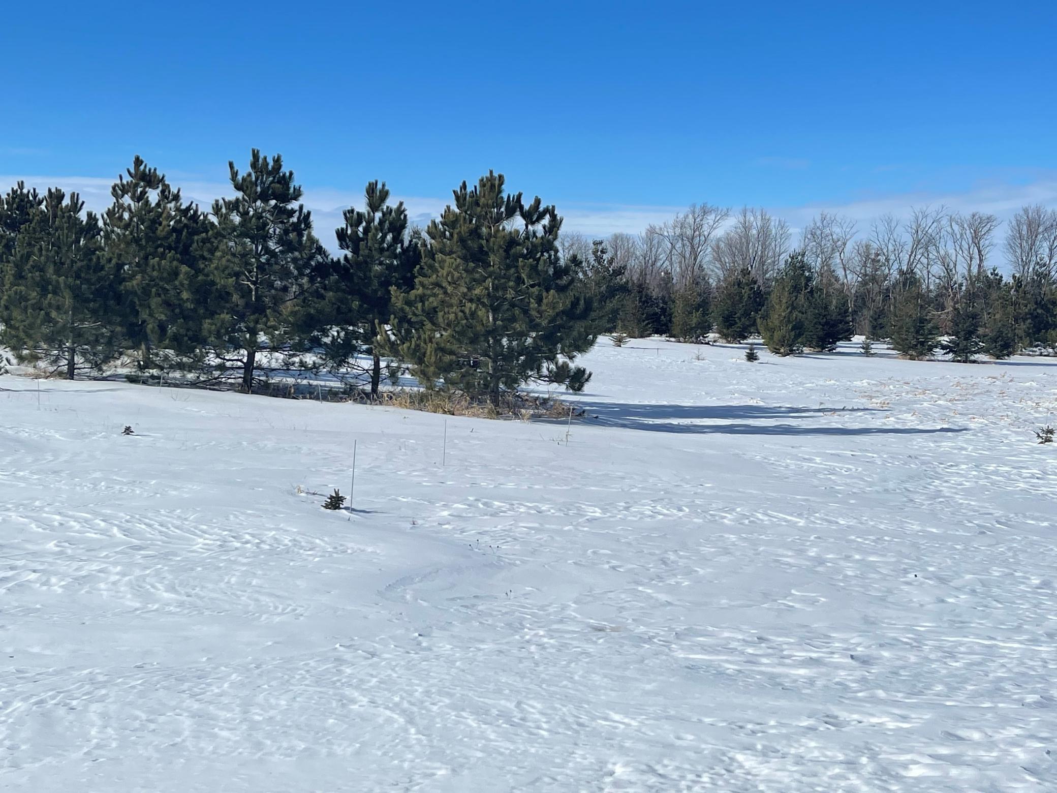 XXXX Bradley Court NE, Carlos, MN 56319 MLS 6156193 Edina Realty