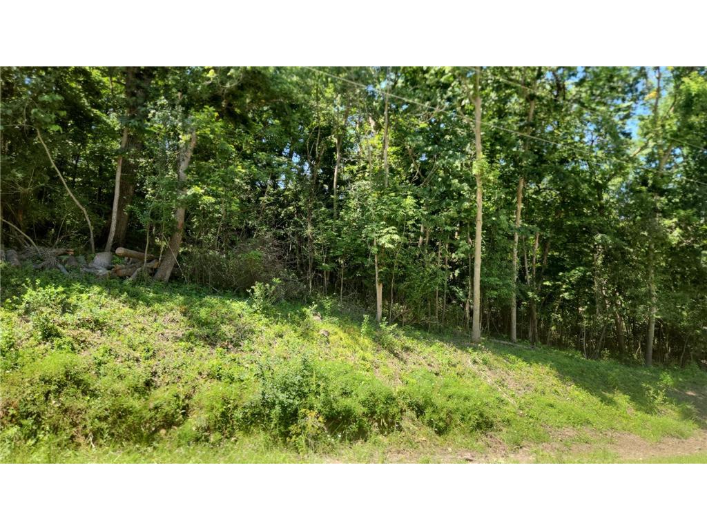 XXXX Cedar Beach Drive NW Oronoco MN 55960 6763574 image2