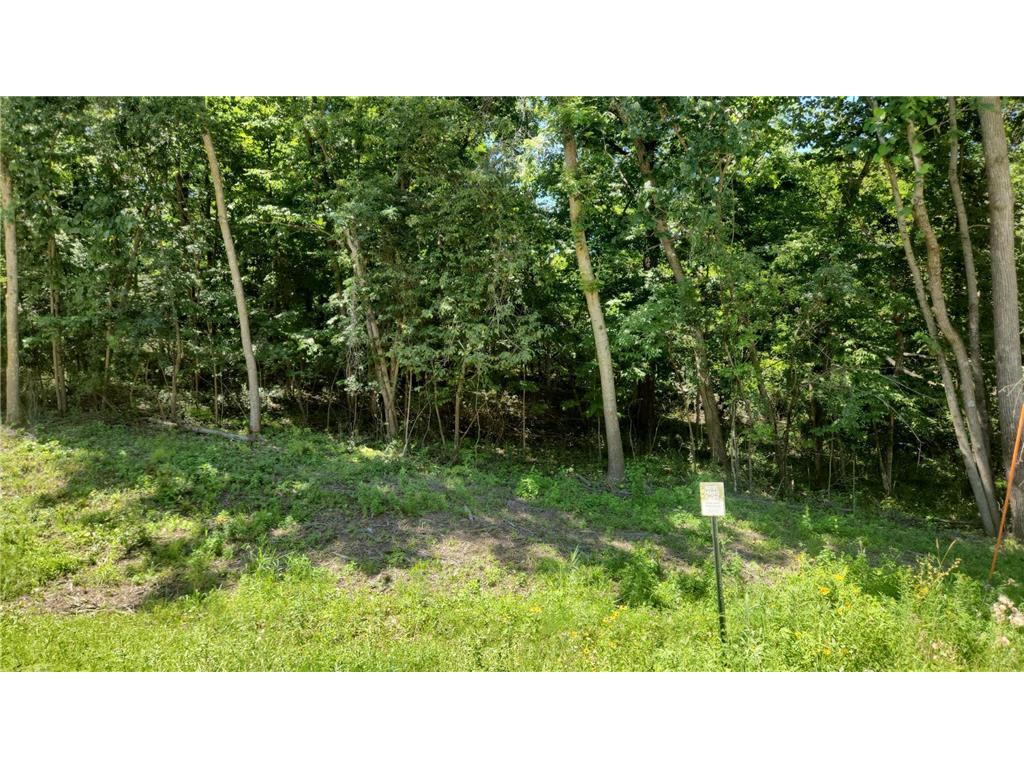 XXXX Cedar Beach Drive NW Oronoco MN 55960 6763574 image4