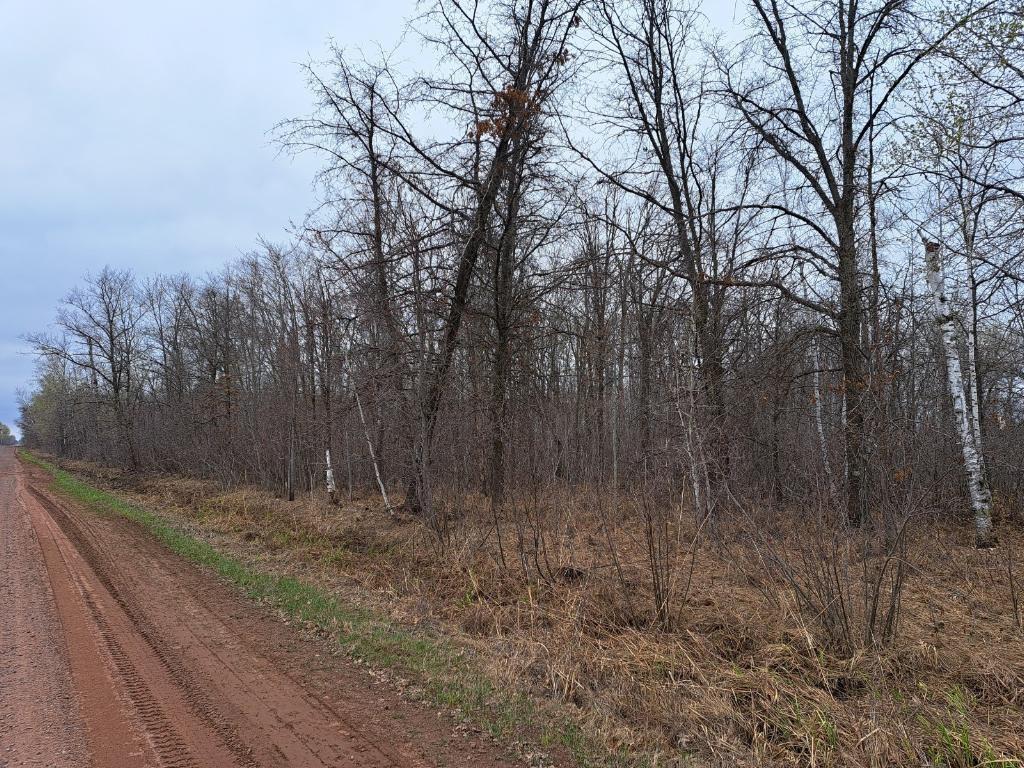XXXX Cedar Creek Road Munch Twp MN 55037 - Mud Lake 6370436 image1