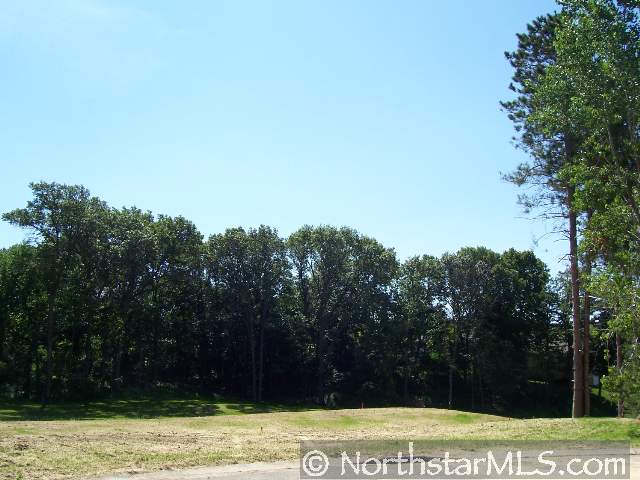 Lot 1 Blk 2 Chickadee Court Red Wing MN 55066 3579902 image1