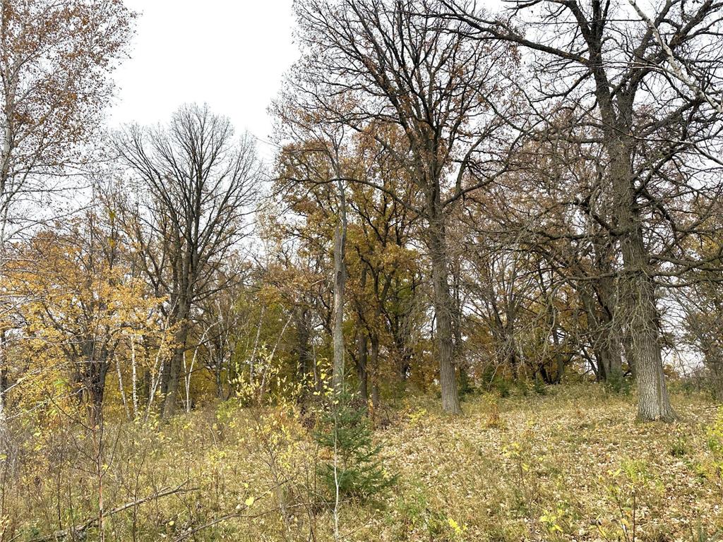 XXXX Co Hwy 31 Frazee MN 56544 6632142 image1