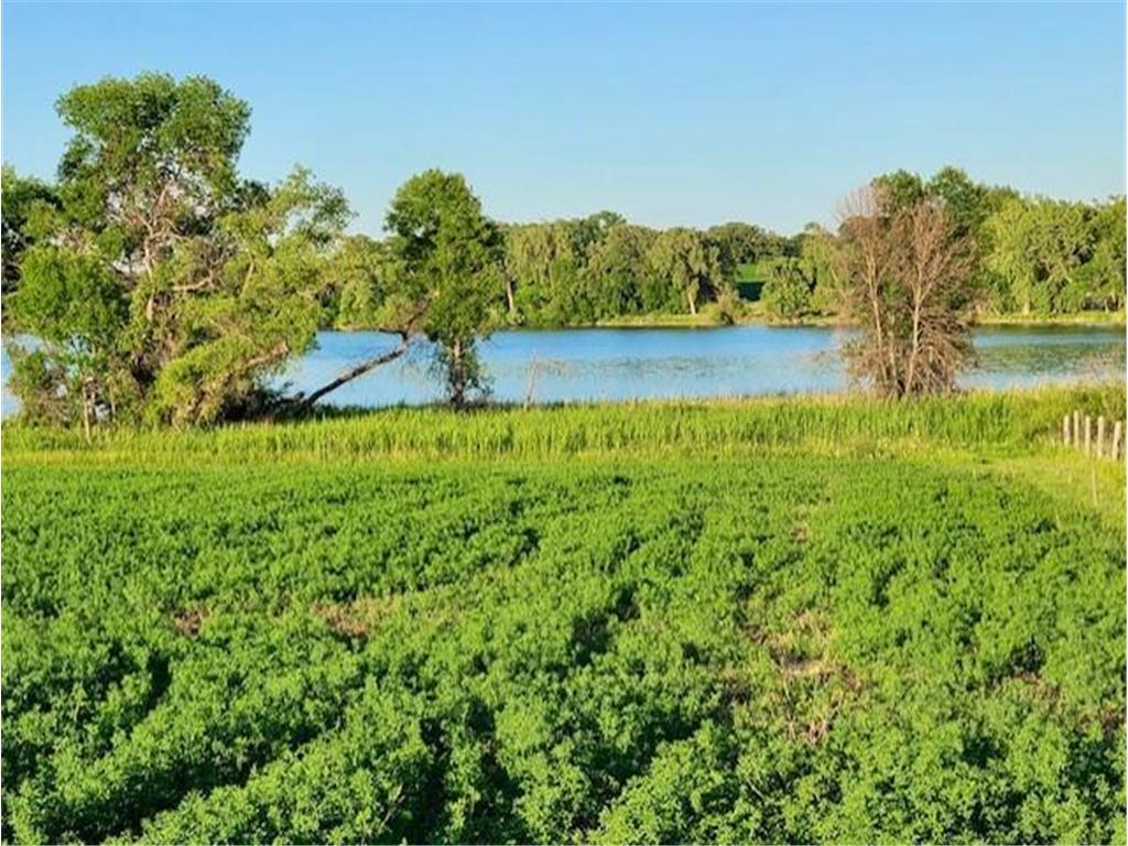 XXXX Co-Rd 108 NW Brandon MN 56315 - Chippewa 7078882 image9