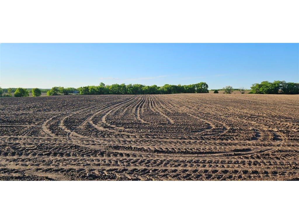 XXXX Co Rd 35 Miltona MN 56354 6726280 image1