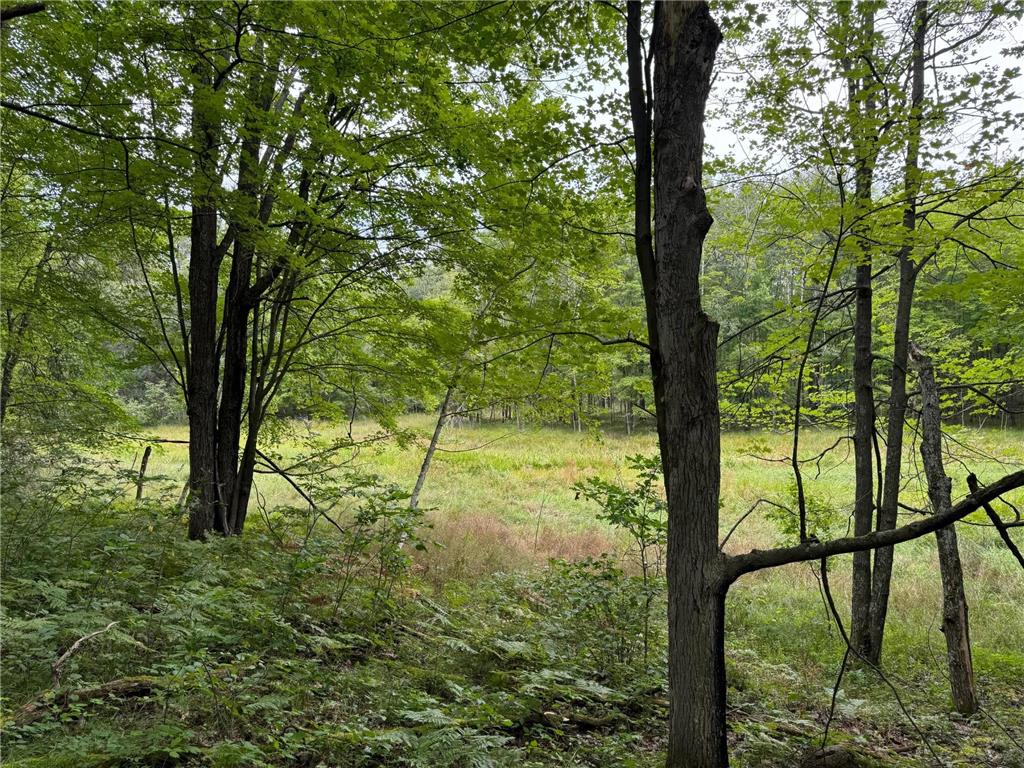 XXXX County Line Road Evergreen Twp WI 54801 - Wilkerson 6591319 image1