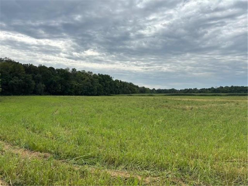 XXXX County Rd 30 SW Tract B Montrose MN 55363 6770620 image1