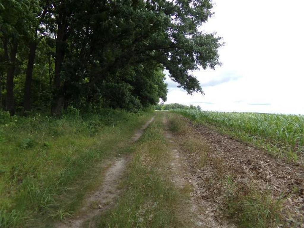 XXXX County Rd. 9 Staples Twp MN 56479 6397226 image1