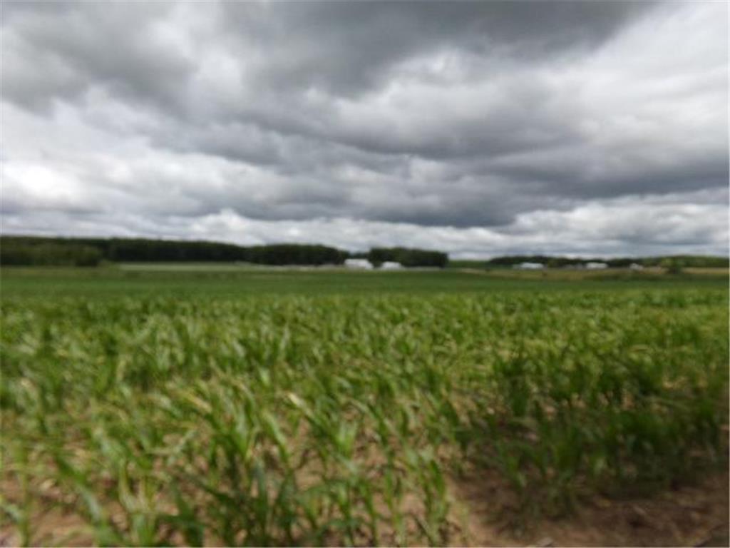 XXXX County Rd. 9 Staples Twp MN 56479 6426287 image1