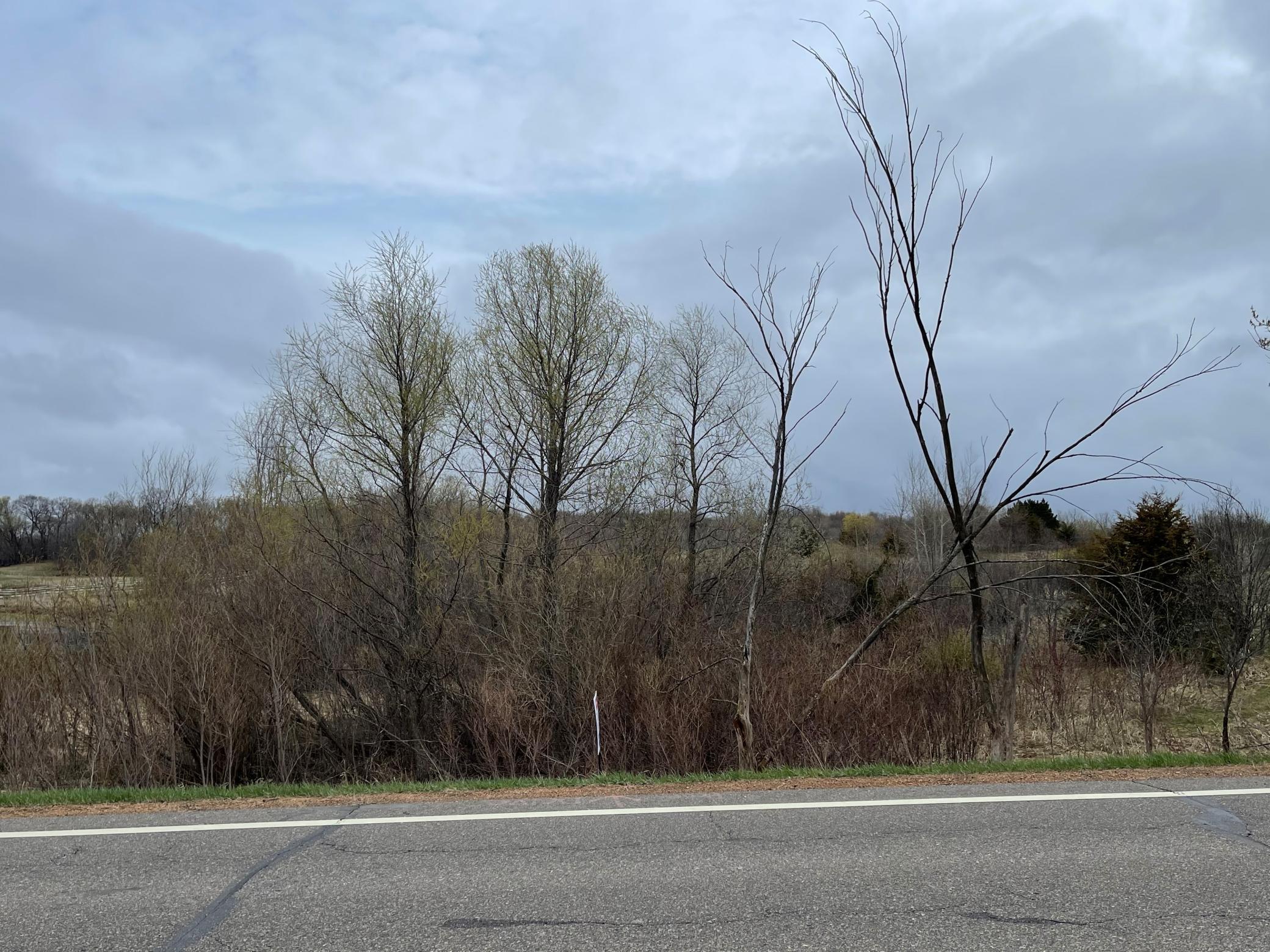 XXXX County Road 11, Independence, MN 55359 MLS 5738903 Edina Realty