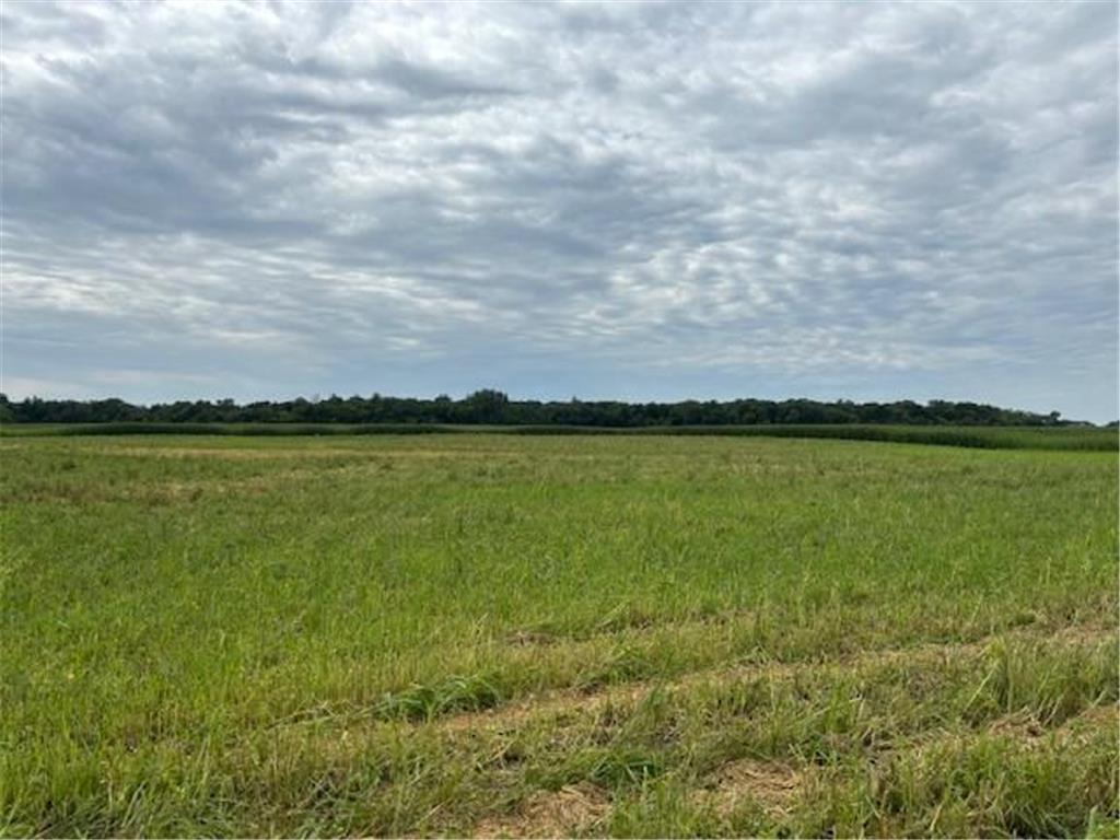 XXXX County Rd 30 SW Tract A Montrose MN 55363 6770532 image1