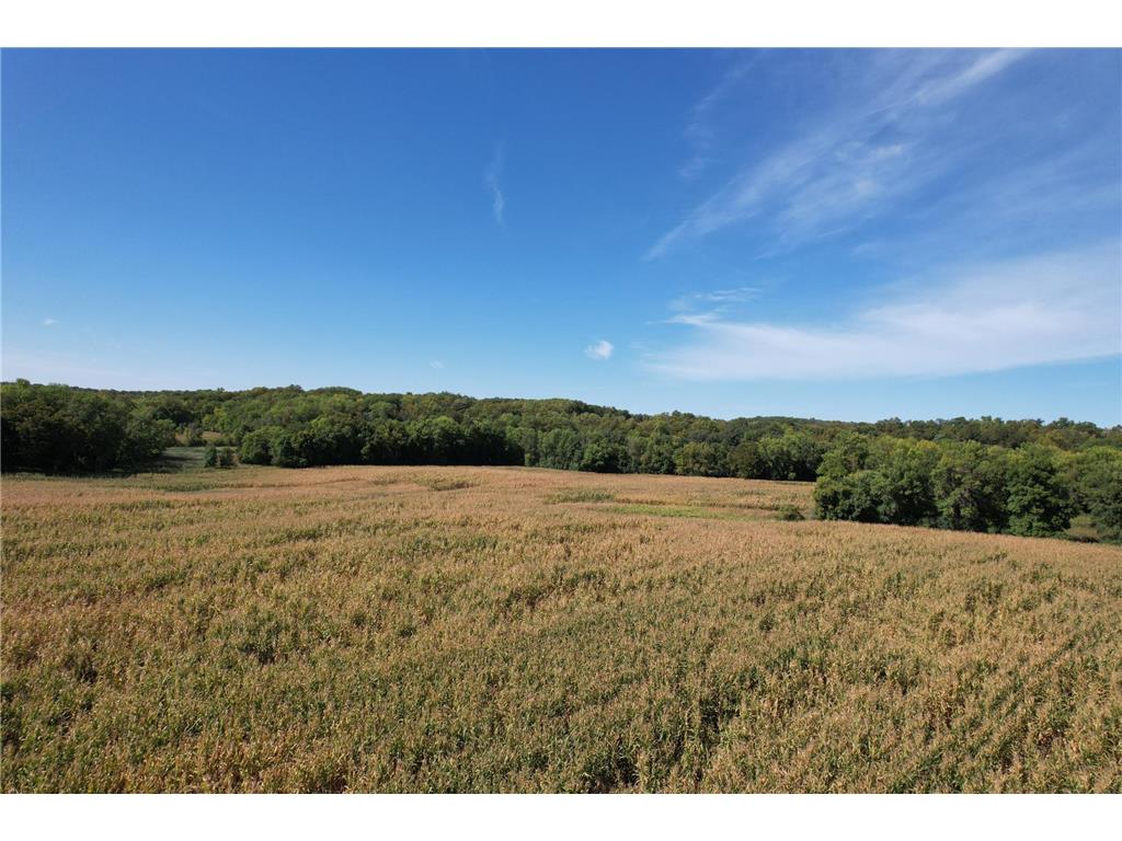 XXXX County Road 4 NE Spicer MN 56288 6432914 image1