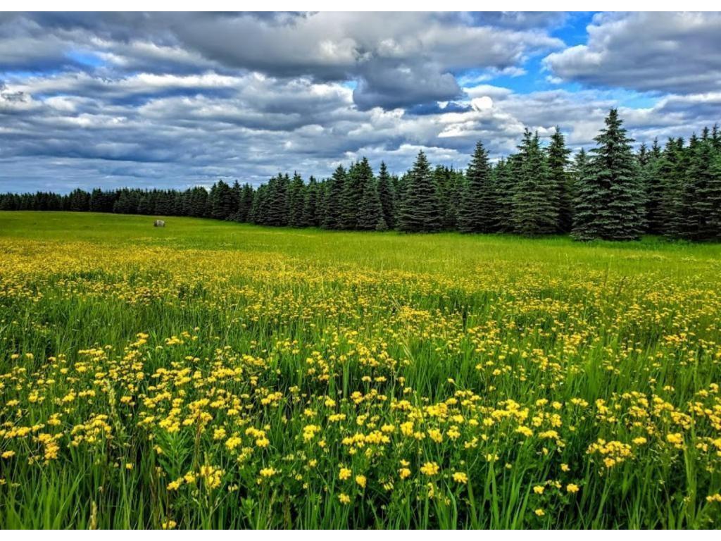 XXXX County Road 42 NE Alexandria MN 56308 6657935 image1