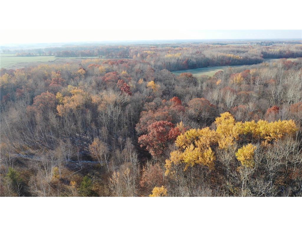 XXXX County Road 44 Brainerd MN 56401 6455867 image1