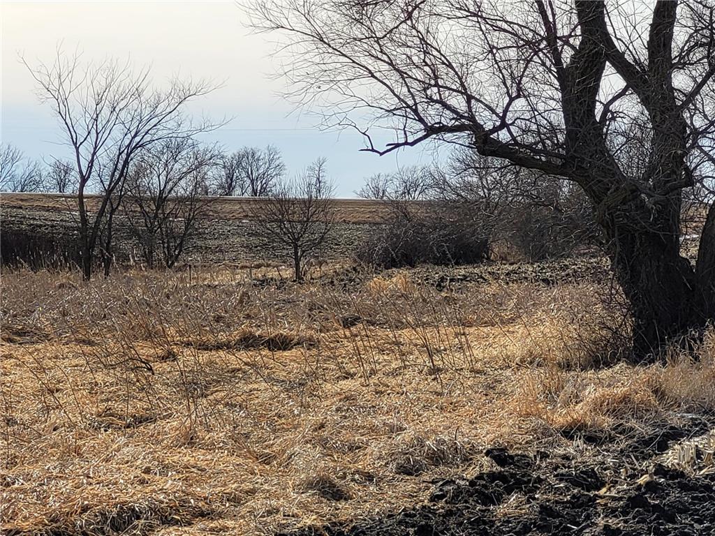 XXXX County Road 7 NW Maple Lake MN 55358 7006304 image11